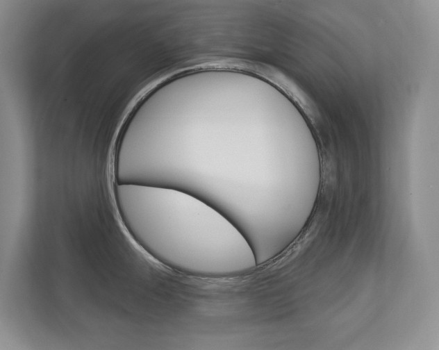 X0000113001247200908270913