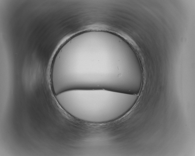 X0000113001248200908270913