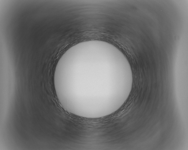 X0000113001249200908270913