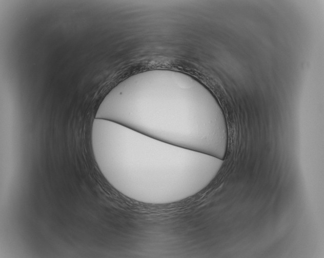 X0000113001250200908270913