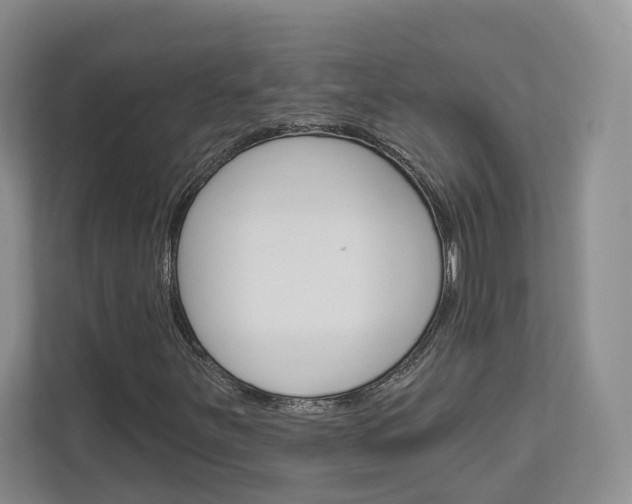 X0000113001251200908270913
