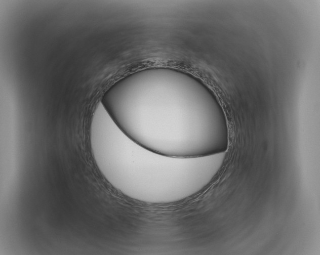 X0000113001253200908270912