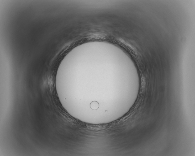 X0000113001254200908270912