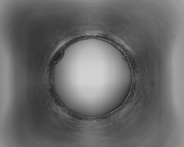 X0000113001256200908270912