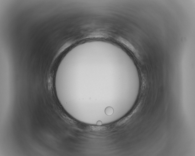 X0000113001258200908270912