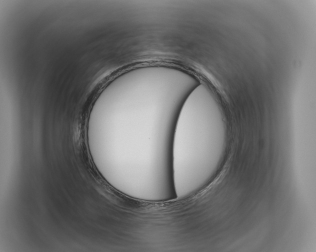 X0000113001259200908270912