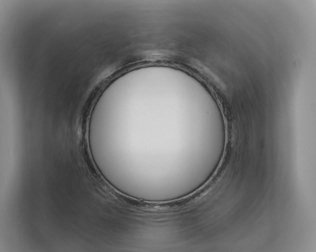 X0000113001261200908270912