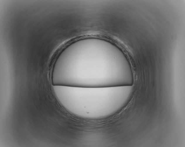 X0000113001262200908270912