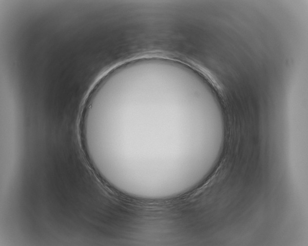X0000113001264200908270912