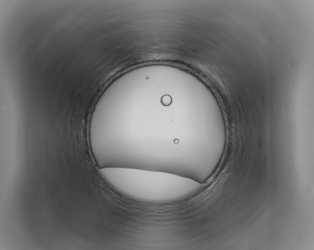X0000113001265200908270912