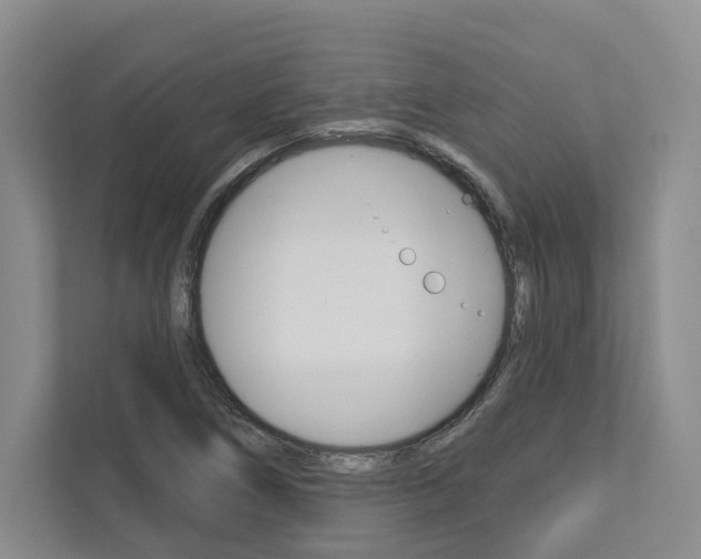 X0000113001266200908270912