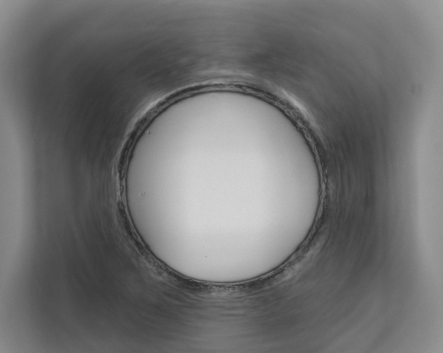 X0000113001267200908270912