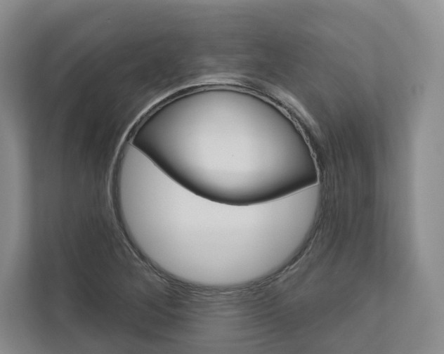 X0000113001268200908270912