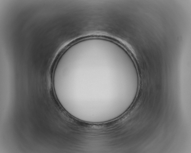 X0000113001271200908270912