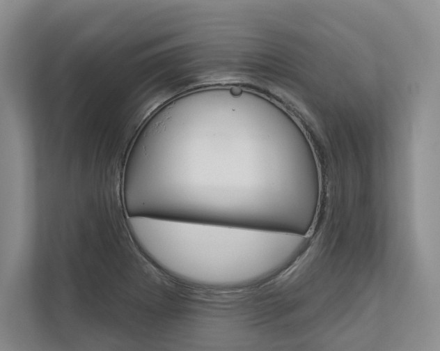 X0000113001273200908270912