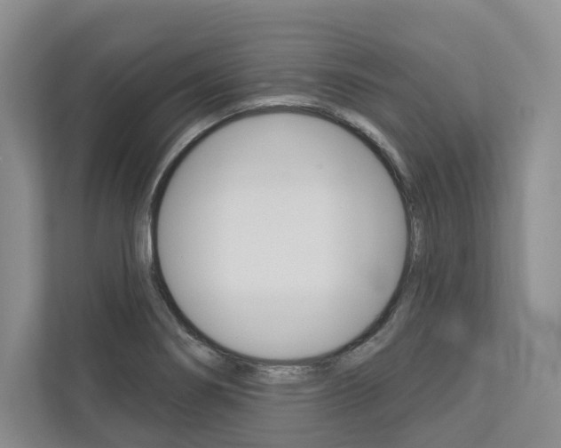 X0000113001274200908270912