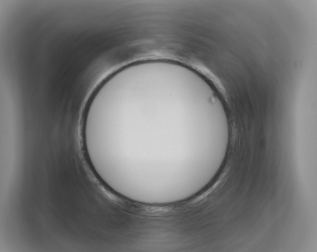 X0000113001278200908270912
