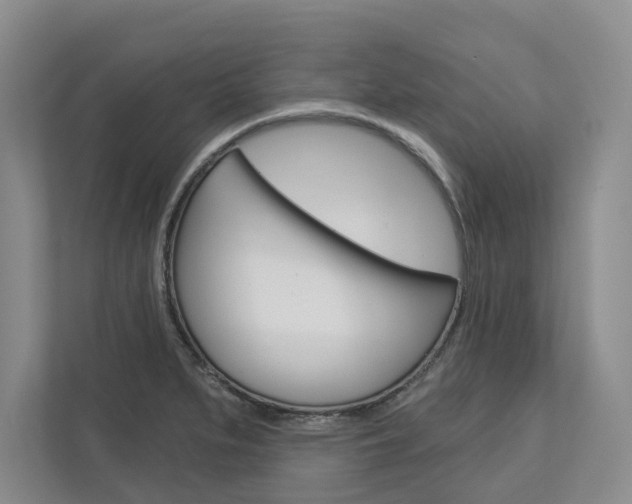 X0000113001279200908270912