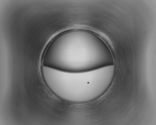 X0000113001280200908270912