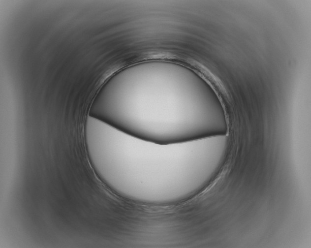 X0000113001281200908270912