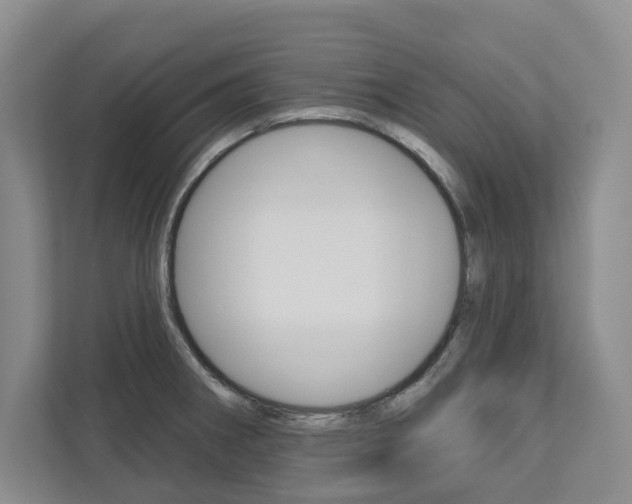 X0000113001282200908270912