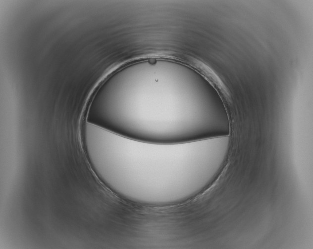 X0000113001284200908270912