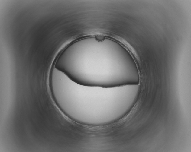 X0000113001285200908270912