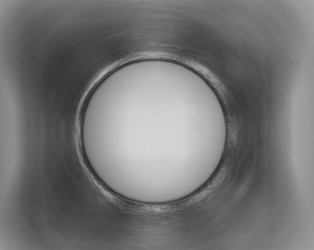 X0000113001286200908270912