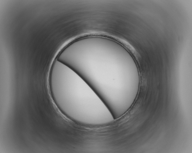 X0000113001287200908270912