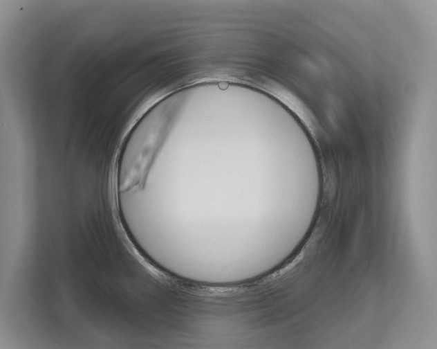 X0000113001290200908270912