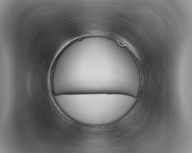 X0000113001291200908270912