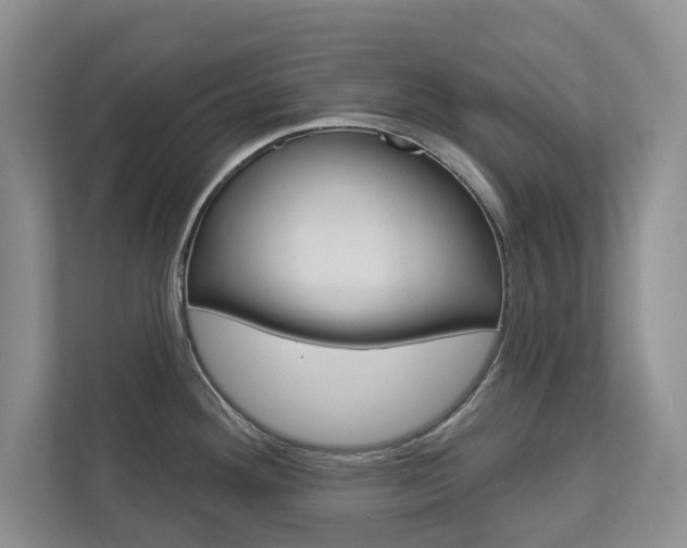 X0000113001292200908270912
