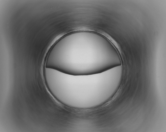 X0000113001293200908270912