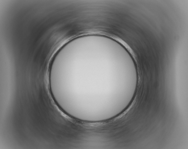 X0000113001294200908270912