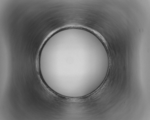 X0000113001295200908270912
