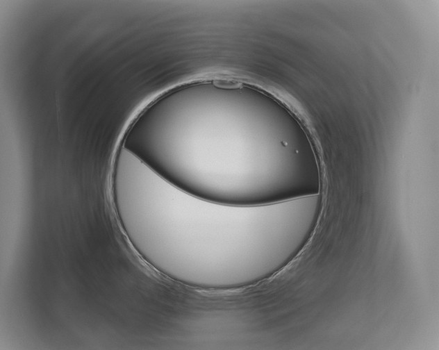 X0000113001296200908270912