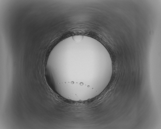 X0000113001297200908270911
