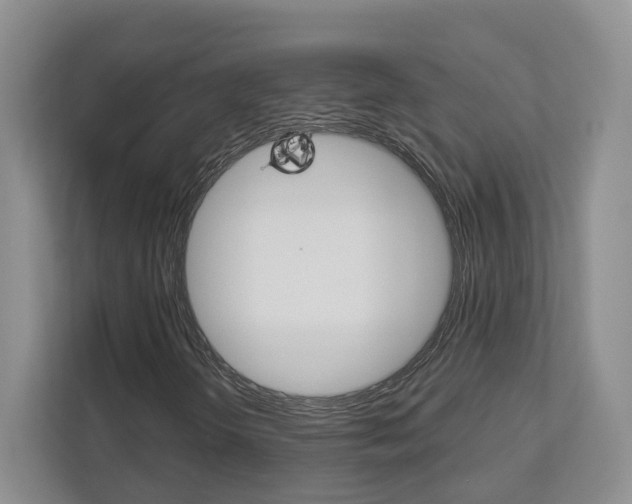 X0000113001298200908270911