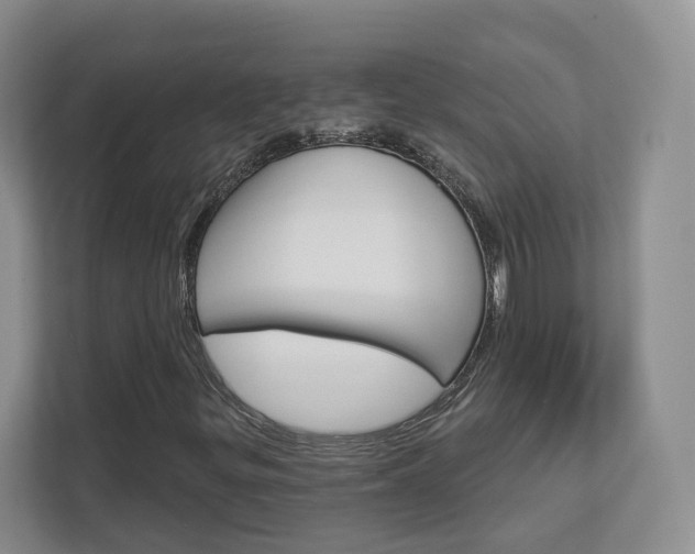 X0000113001299200908270911