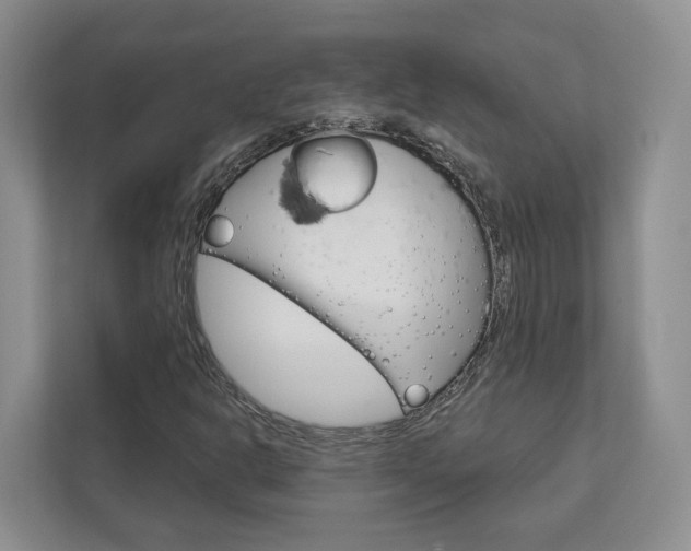 X0000113001302200908270911