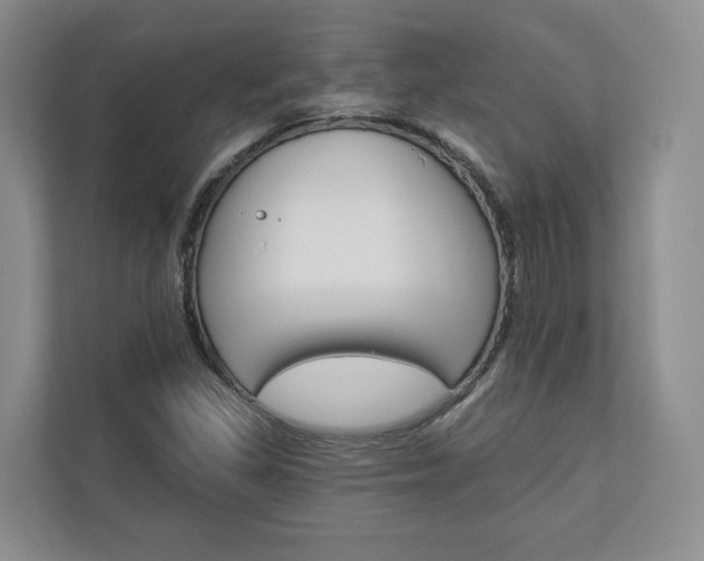 X0000113001309200908270911
