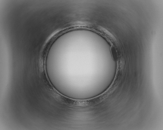 X0000113001310200908270911