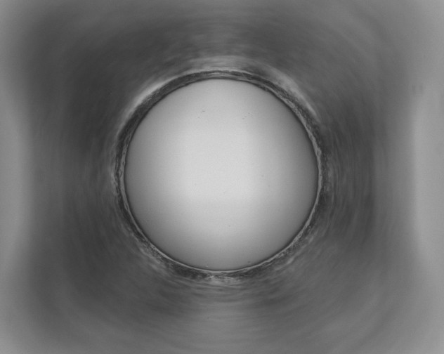X0000113001312200908270912