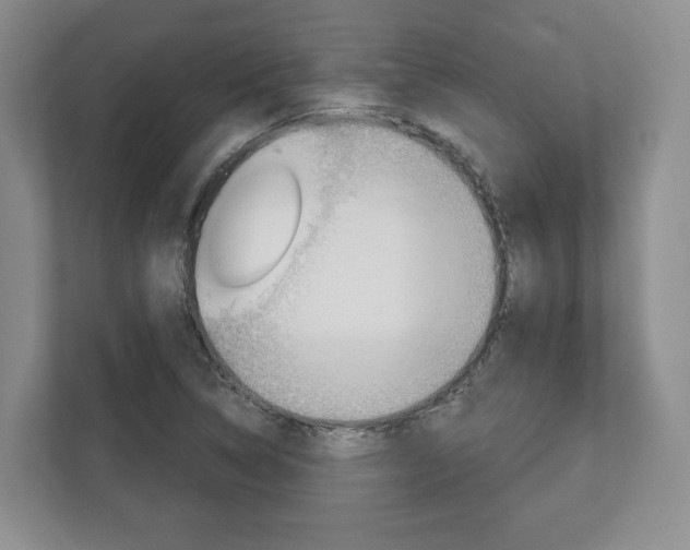 X0000113001314200908270912