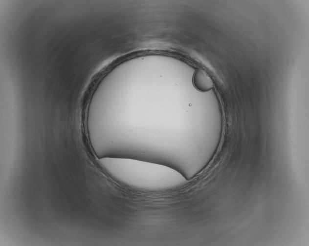 X0000113001315200908270912