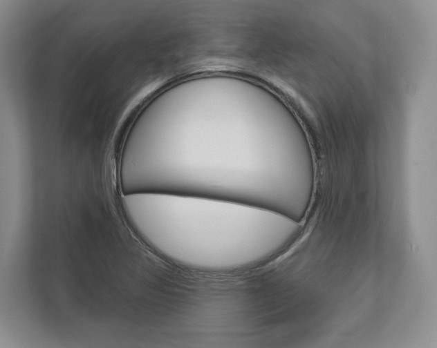 X0000113001317200908270912