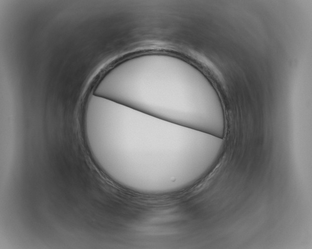 X0000113001318200908270912