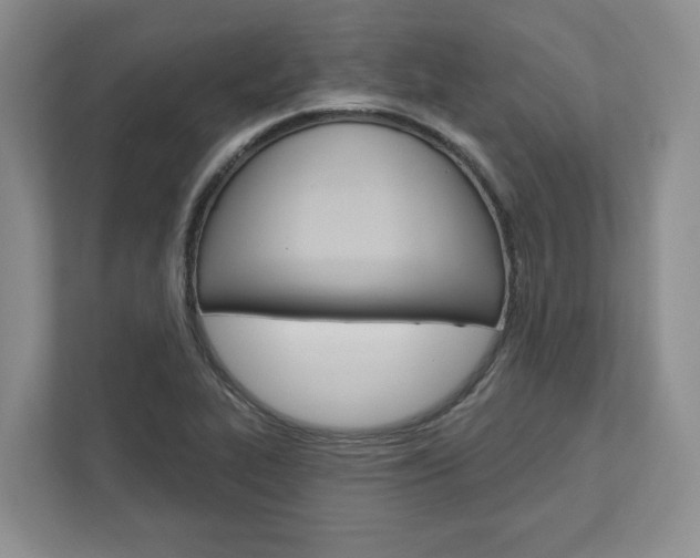 X0000113001319200908270912