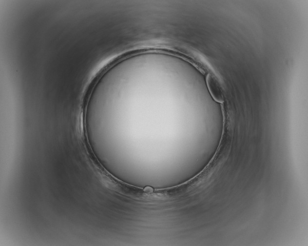 X0000113001320200908270912