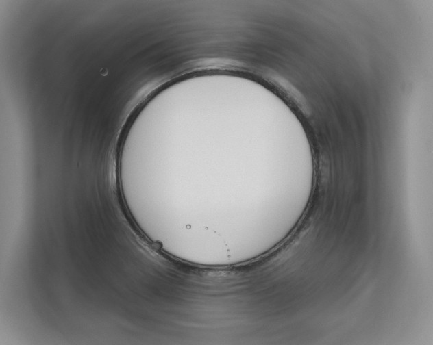 X0000113001322200908270912